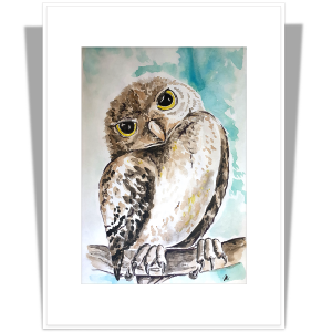 Art print A5 cu passepartout A4 Bufnița Buha