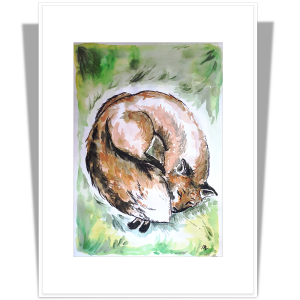 Art print A5 cu passepartout A4 Vulpe adormită
