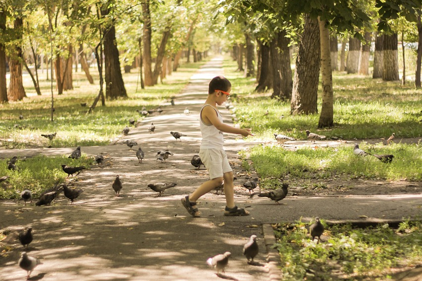 Vacanța de vară și copilul cu dizabilitate cognitivă